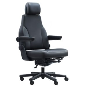 Stanza Bariatric Chair